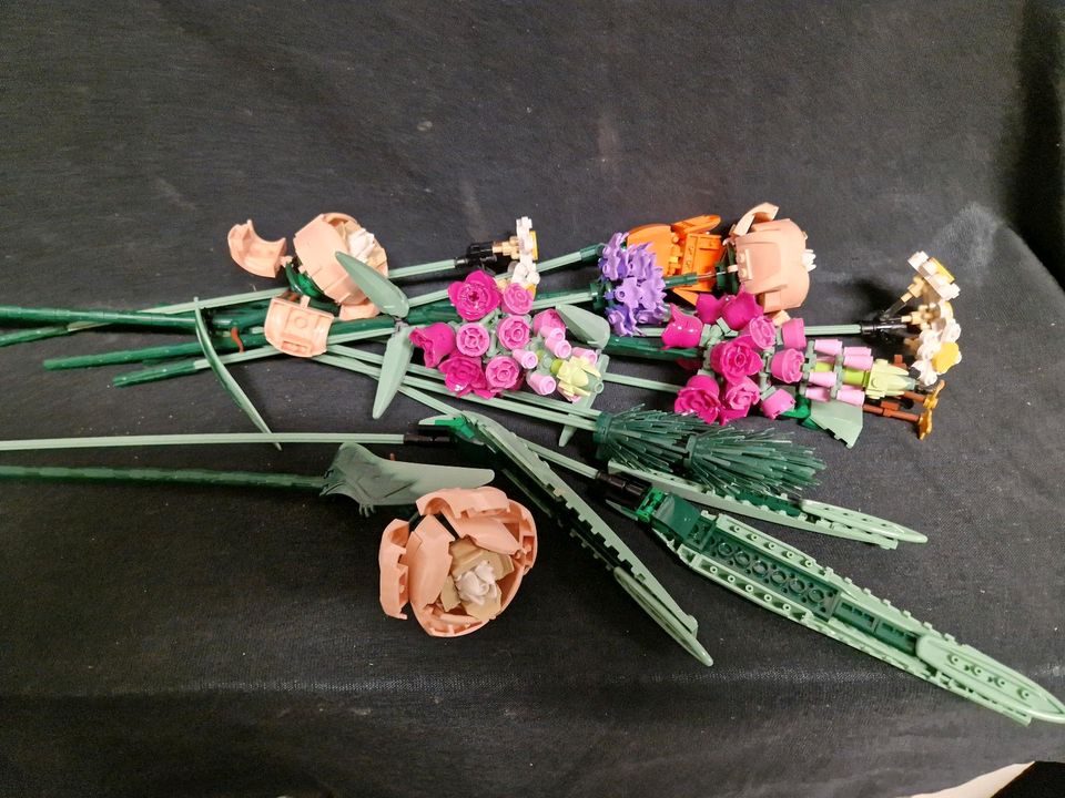 Lego Blume, Botanik,