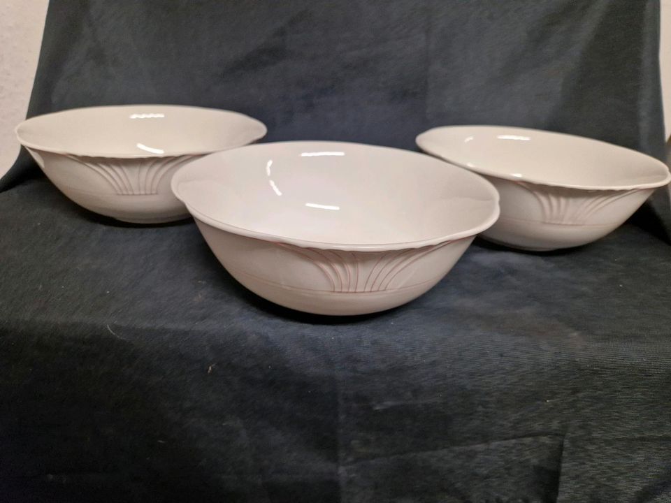 Villeroy und Boch, Palatino , Schüssel