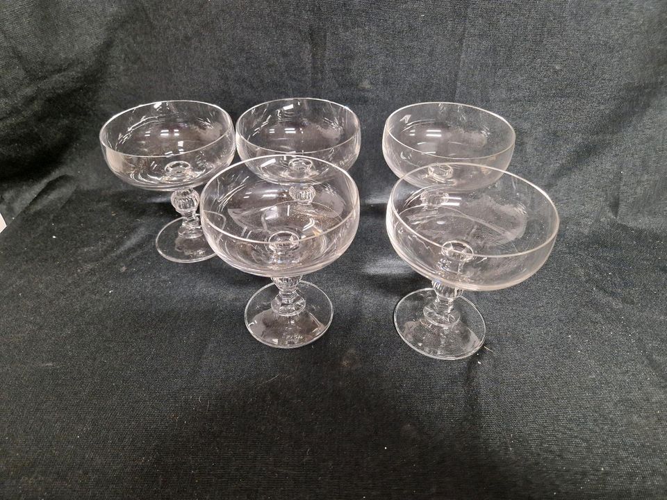 Champagner Gläser 5 Stück