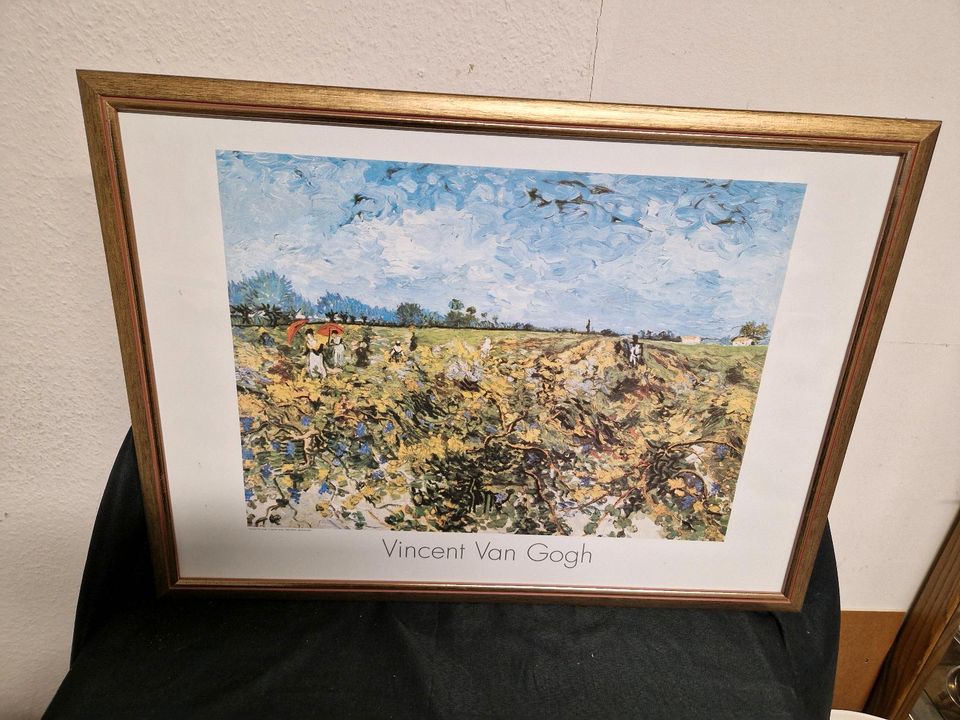 Vincent van Gogh, Belgium 2001