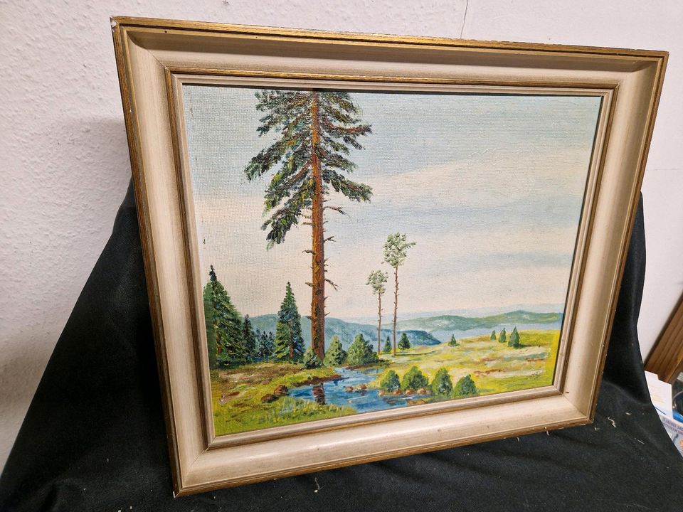 Bild gemalt von G. May 54 x 47 cm