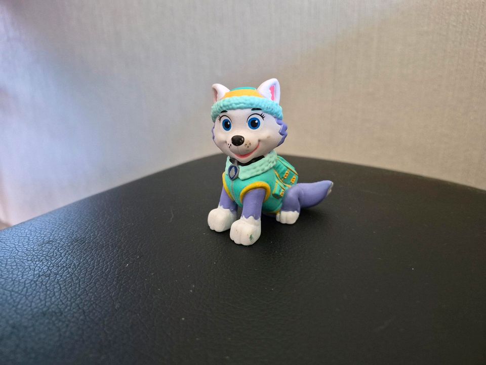 Tonie Paw Patrol, Everest