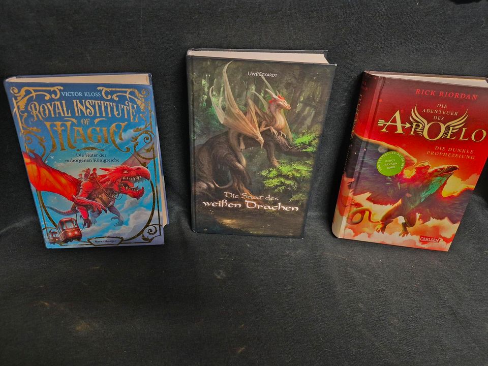 Carlsen, Eckardt, Ravensburger, Bücher, Drache