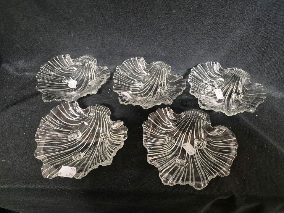 Glasschale Muschel