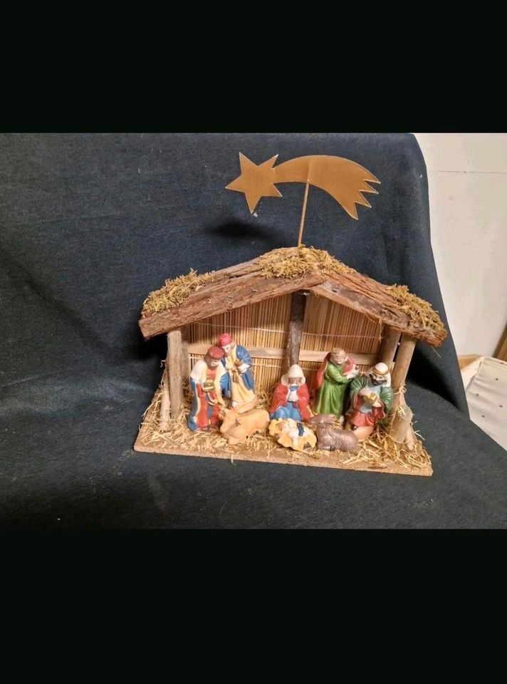 Weihnachtskrippe mit Figuren 8 Figuren19,5 cm hoch